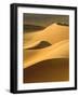 In the Dunes 3-Design Fabrikken-Framed Photographic Print