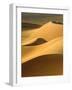 In the Dunes 3-Design Fabrikken-Framed Photographic Print