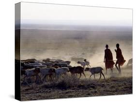 In the Early Morning, a Maasai Herdsboy and His Sister Drive their Flock of Sheep across the Dusty -Nigel Pavitt-Stretched Canvas