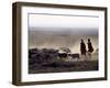 In the Early Morning, a Maasai Herdsboy and His Sister Drive their Flock of Sheep across the Dusty -Nigel Pavitt-Framed Photographic Print