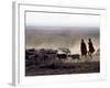 In the Early Morning, a Maasai Herdsboy and His Sister Drive their Flock of Sheep across the Dusty -Nigel Pavitt-Framed Photographic Print