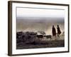 In the Early Morning, a Maasai Herdsboy and His Sister Drive their Flock of Sheep across the Dusty -Nigel Pavitt-Framed Photographic Print