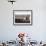 In the Early Morning, a Maasai Herdsboy and His Sister Drive their Flock of Sheep across the Dusty -Nigel Pavitt-Framed Photographic Print displayed on a wall