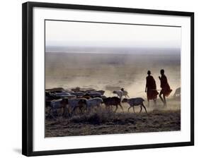 In the Early Morning, a Maasai Herdsboy and His Sister Drive their Flock of Sheep across the Dusty -Nigel Pavitt-Framed Photographic Print