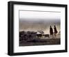 In the Early Morning, a Maasai Herdsboy and His Sister Drive their Flock of Sheep across the Dusty -Nigel Pavitt-Framed Photographic Print