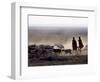 In the Early Morning, a Maasai Herdsboy and His Sister Drive their Flock of Sheep across the Dusty -Nigel Pavitt-Framed Photographic Print