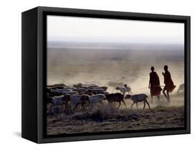 In the Early Morning, a Maasai Herdsboy and His Sister Drive their Flock of Sheep across the Dusty -Nigel Pavitt-Framed Stretched Canvas