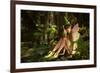 In The Fairy Forest-Atelier Sommerland-Framed Art Print