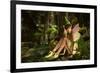 In The Fairy Forest-Atelier Sommerland-Framed Art Print