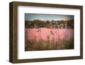 In the field 4-Claire Westwood-Framed Art Print