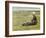 In the Field. Ca. 1890-Max Liebermann-Framed Giclee Print