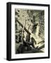 In the Fine Forest Switzerland-null-Framed Giclee Print