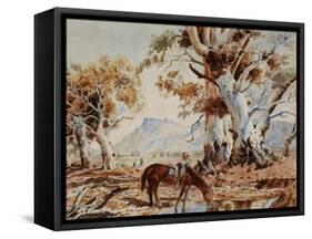 In the Flinders Ranges-null-Framed Stretched Canvas