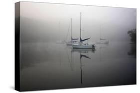 In the Fog-Tammy Putman-Stretched Canvas
