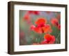 In the foreground-Marco Carmassi-Framed Photographic Print