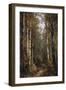 In the Forest, 1885-Thomas Hill-Framed Giclee Print