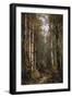 In the Forest, 1885-Thomas Hill-Framed Giclee Print