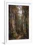 In the Forest, 1885-Thomas Hill-Framed Giclee Print