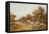 In the Forest of Dean (Oil)-David Bates-Framed Stretched Canvas