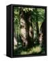In the Forest of Fontainebleau-Pierre-Auguste Renoir-Framed Stretched Canvas