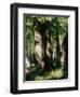 In the Forest of Fontainebleau-Pierre-Auguste Renoir-Framed Giclee Print