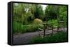 In the Garden I-Brian Moore-Framed Stretched Canvas