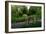 In the Garden I-Brian Moore-Framed Photographic Print