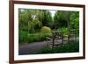 In the Garden I-Brian Moore-Framed Photographic Print