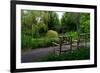 In the Garden I-Brian Moore-Framed Photographic Print