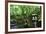 In the Garden II-Brian Moore-Framed Photographic Print