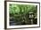 In the Garden II-Brian Moore-Framed Photographic Print