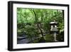 In the Garden II-Brian Moore-Framed Photographic Print