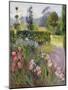 In the Garden - June-Timothy Easton-Mounted Giclee Print
