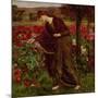 In the Garden of Proserpina, 1893-Henry A. Payne-Mounted Giclee Print