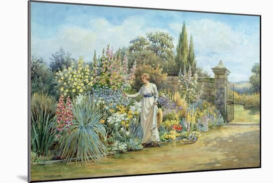 In the Garden-William Ashburner-Mounted Giclee Print