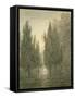 In the Gardens of the Villa Pamphili-John Robert Cozens-Framed Stretched Canvas