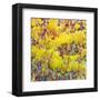 In the Glow-Jean Cauthen-Framed Art Print