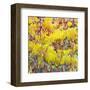 In the Glow-Jean Cauthen-Framed Art Print