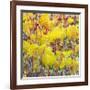 In the Glow-Jean Cauthen-Framed Giclee Print