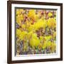 In the Glow-Jean Cauthen-Framed Giclee Print