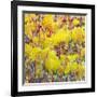 In the Glow-Jean Cauthen-Framed Giclee Print