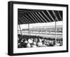 In the Grandstand-null-Framed Photographic Print