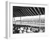 In the Grandstand-null-Framed Photographic Print