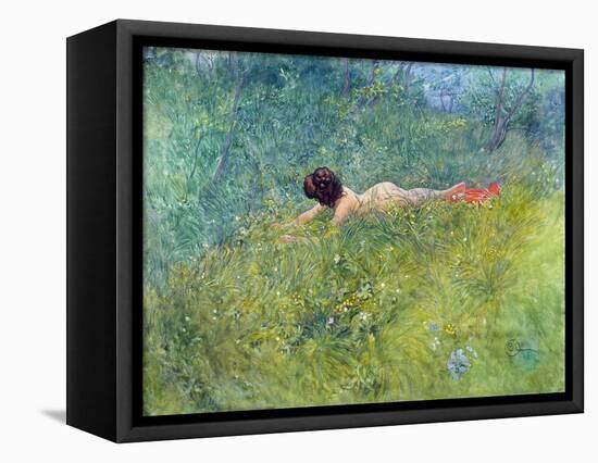 In the Grass (I Groengraset), 1902-Carl Larsson-Framed Stretched Canvas
