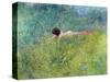 In the Grass (I Groengraset), 1902-Carl Larsson-Stretched Canvas