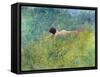 In the Grass (I Groengraset), 1902-Carl Larsson-Framed Stretched Canvas