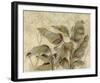 In the Greenhouse II-E^ Moroder-Framed Art Print