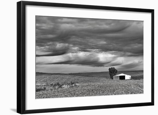 In the Gully-Trent Foltz-Framed Art Print