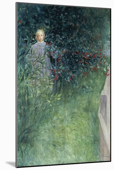 In the Hawthorn Hedge-Carl Larsson-Mounted Giclee Print