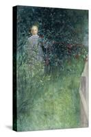 In the Hawthorn Hedge-Carl Larsson-Stretched Canvas